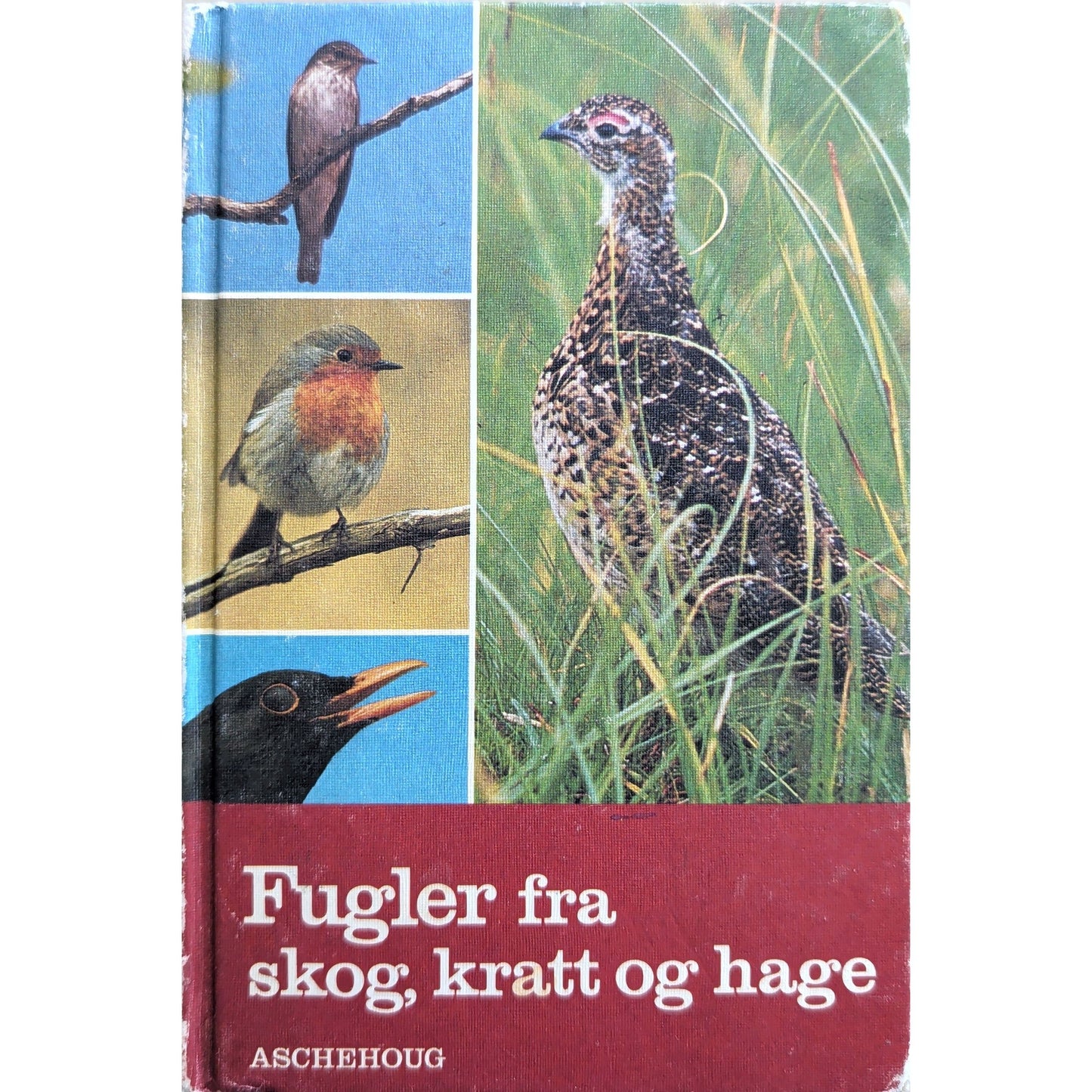 Fugler fra skog, kratt og hage, brukte bøker av Henning Anthon
