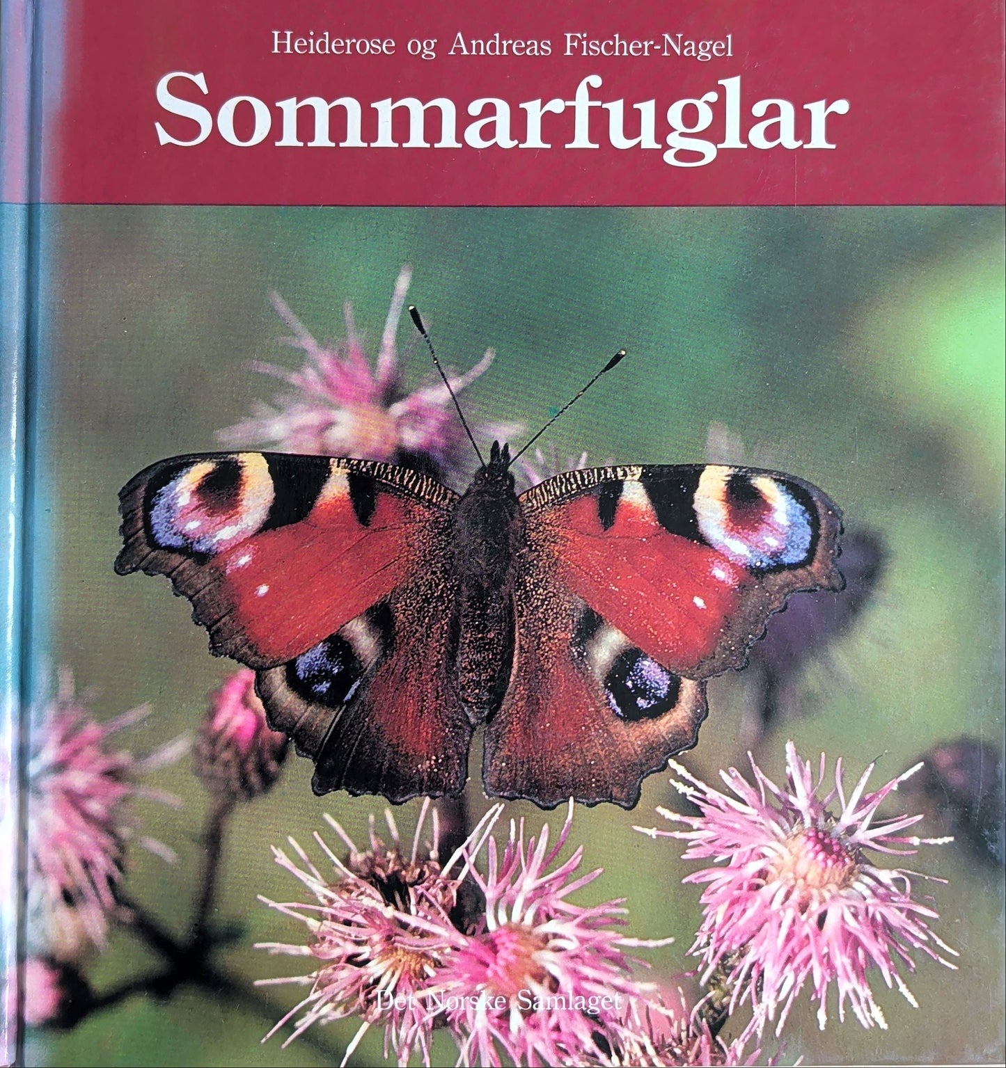 Sommarfuglar - brukte faktabøker på nynorsk av H. og A. Fischer-Nagel