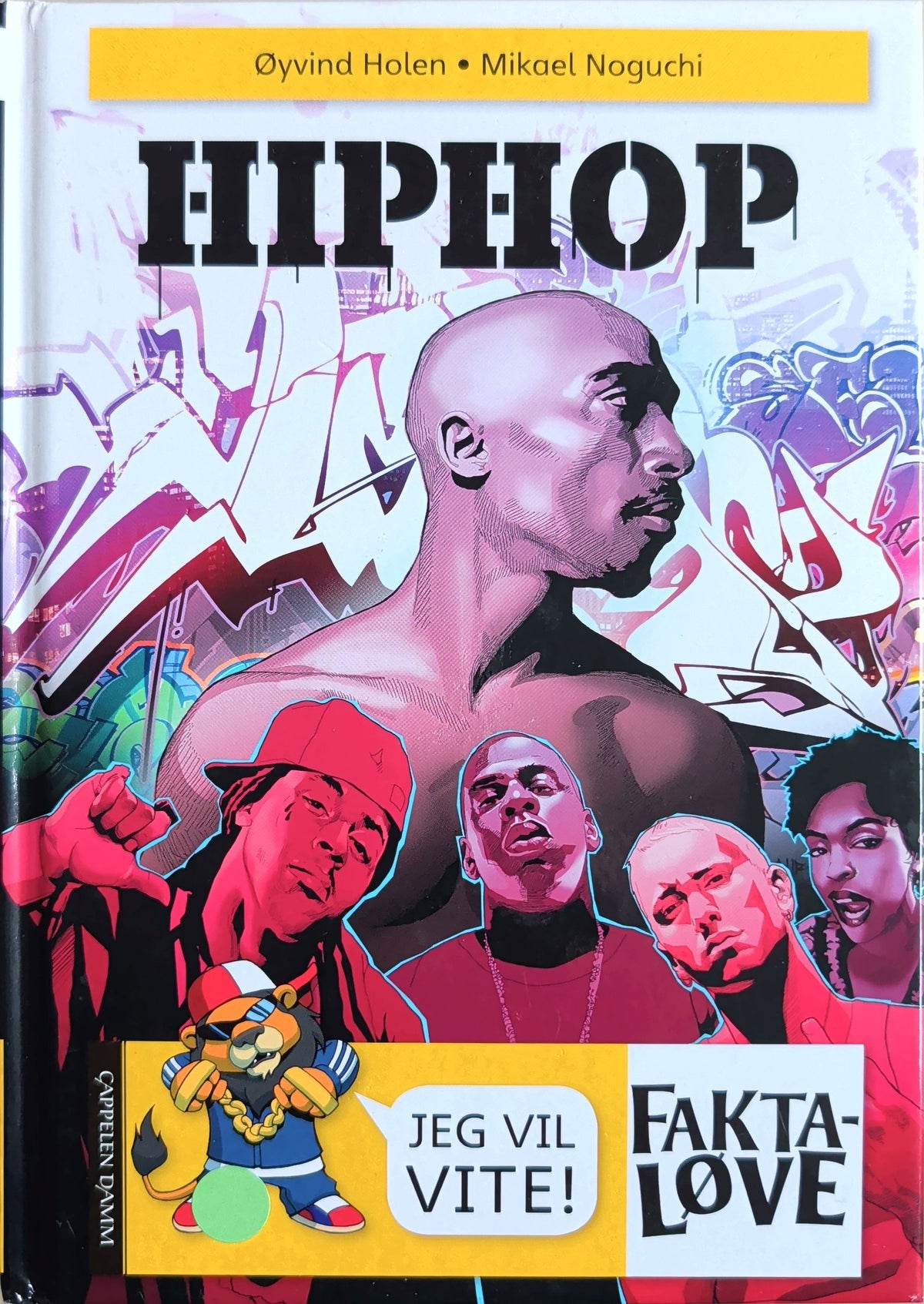 Hiphop. Brukt Faktaløvebok av Øyvind Holen. Bruktbokhandel