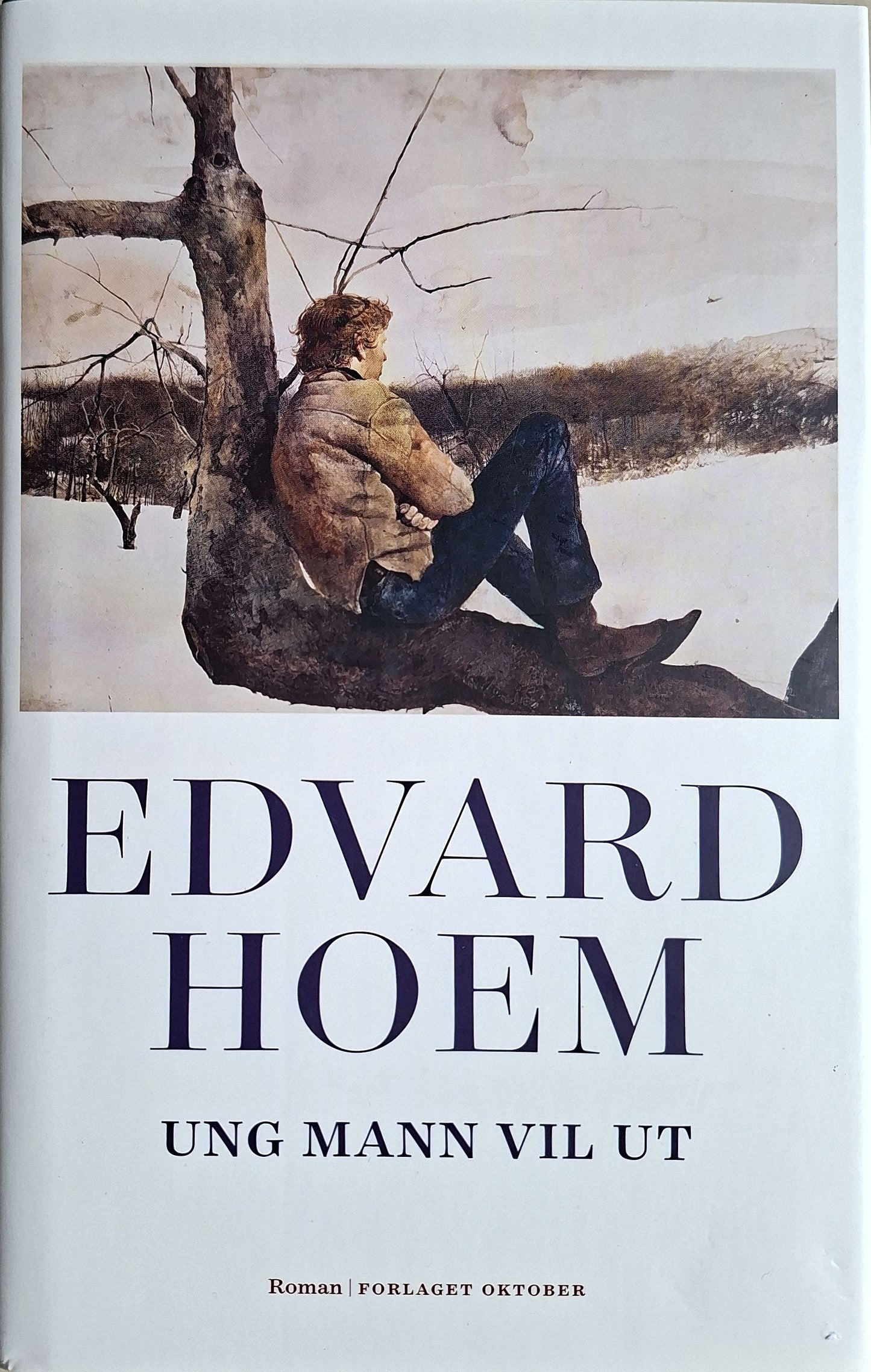 Ung mann vil ut, brukte bøker av Edvard Hoem