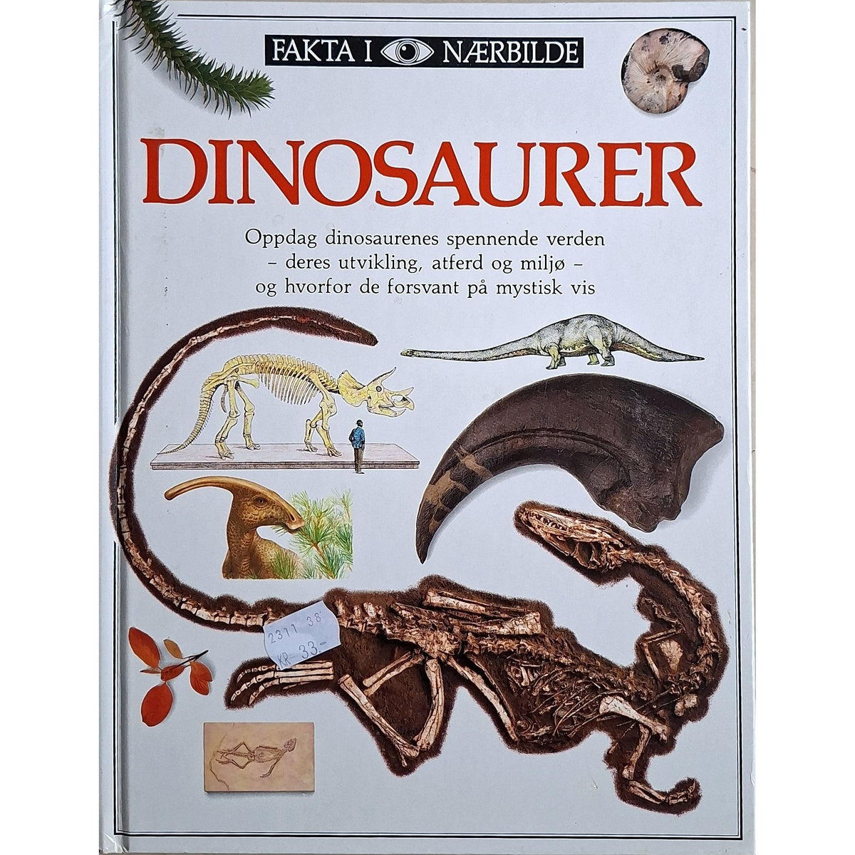 Dinosaurer - Fakta i nærbilde. Brukte bøker Inventaret bokhandel