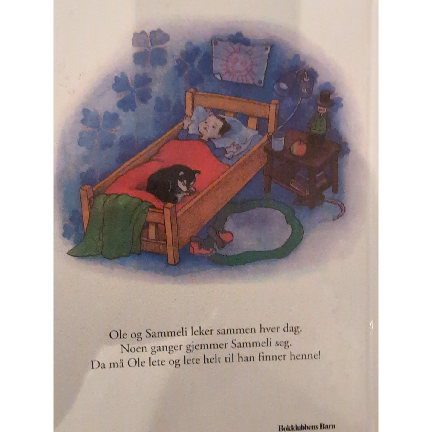 Wikland, Ilon: Hvor er Sammeli?