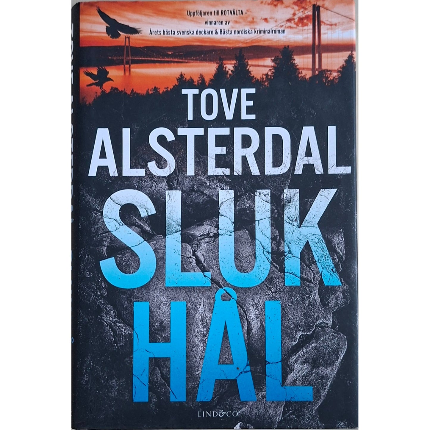 Eira Sjödin 2 - Slukhål, brukte bøker på svensk av Tove Alsterdal