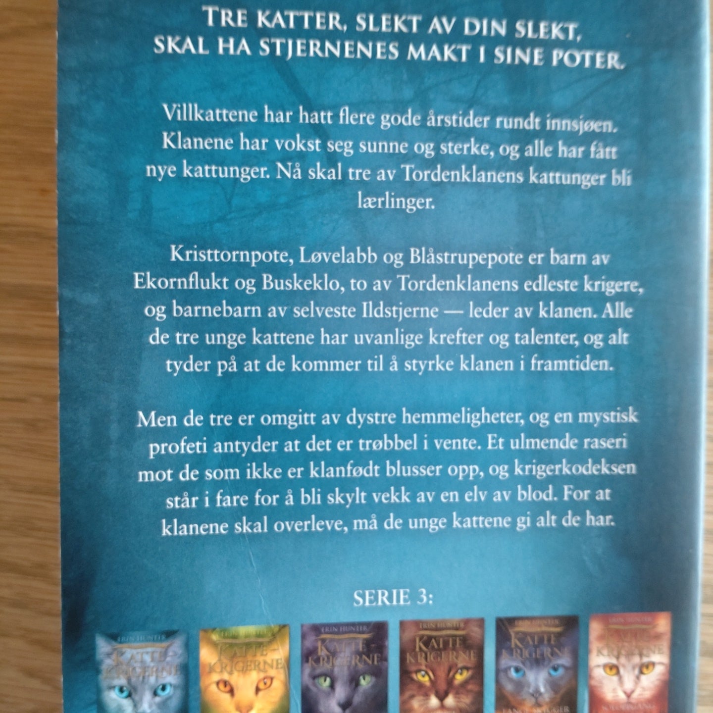 Hunter, Erin: Tegnet - Kattekrigerne serie 3 - bok 1