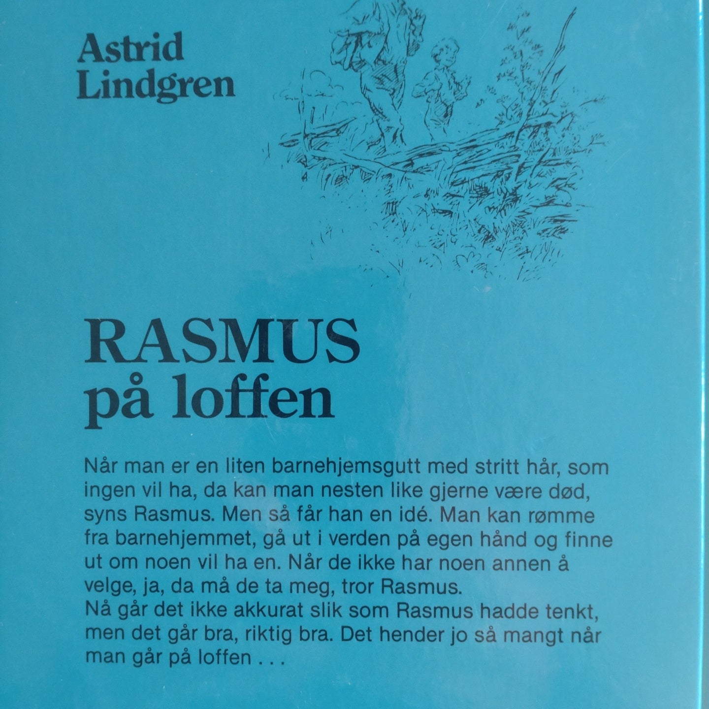 Lindgren, Astrid: Rasmus på loffen