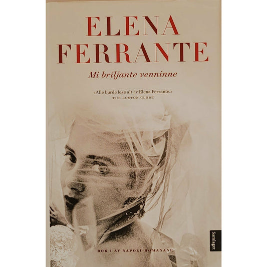 Mi briljante venninne, brukte bøker av Elena Ferrante