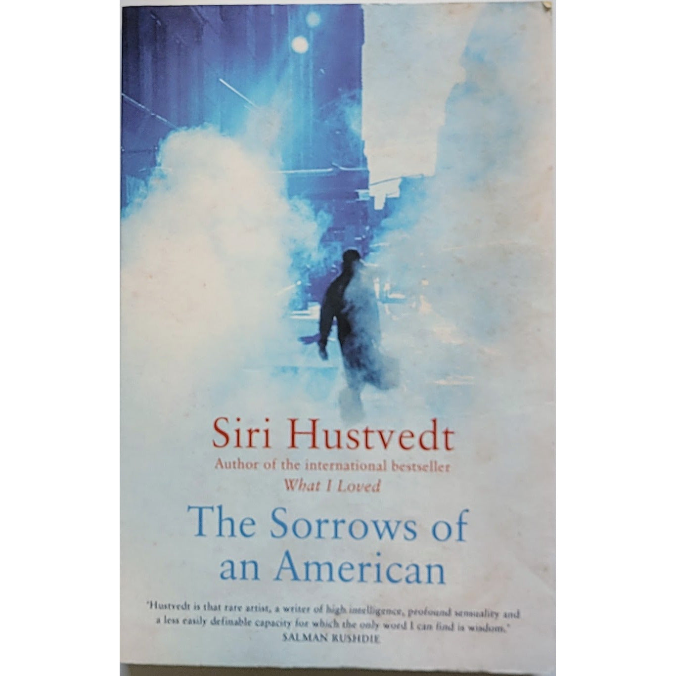 Hustvedt, Siri: The Sorrows of an American