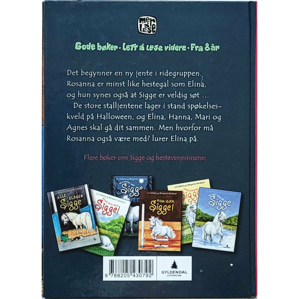 Hallberg, Lin: Det spøker, Sigge