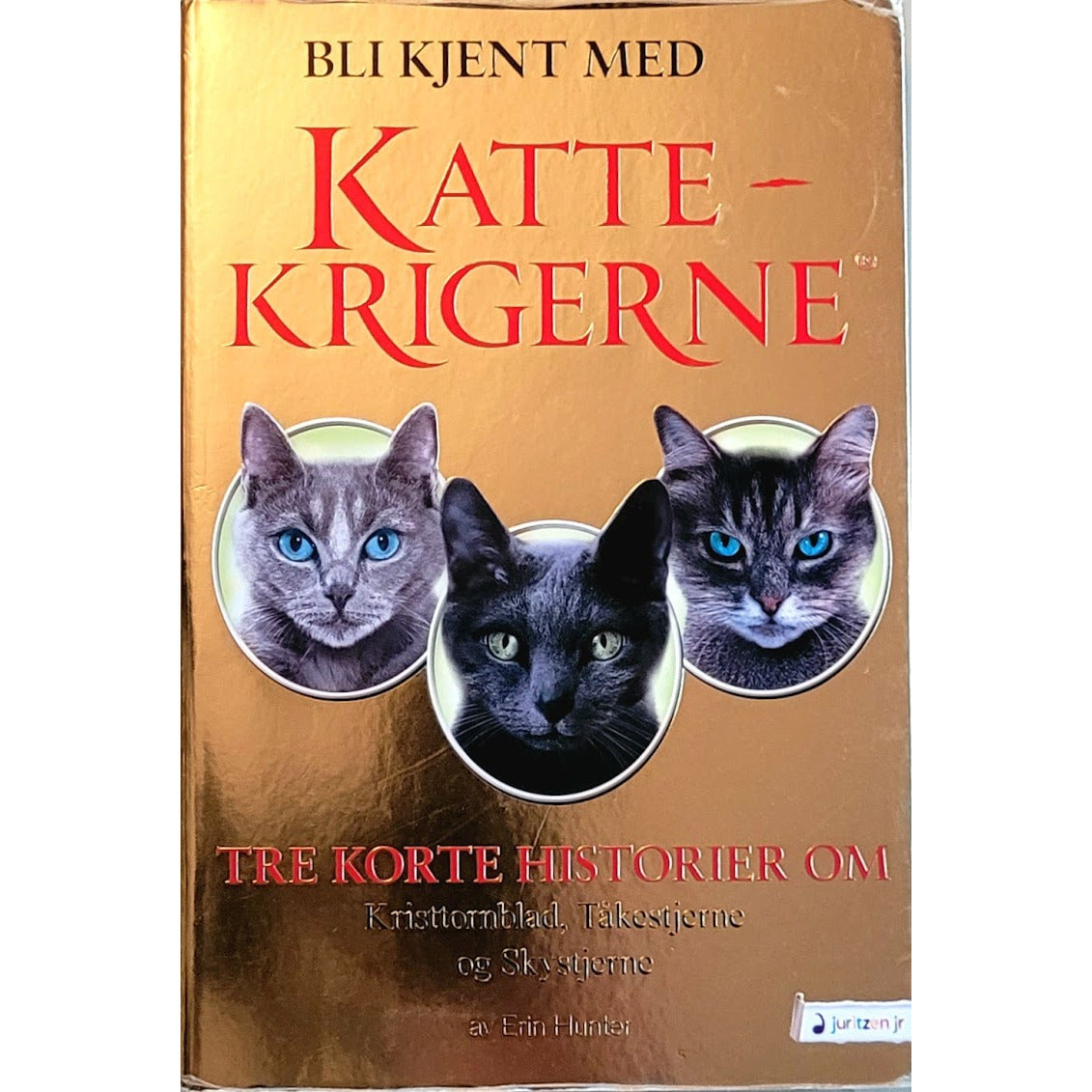 Brukte barnebøker av Erin Hunter: Bli kjent med Kattekrigerne