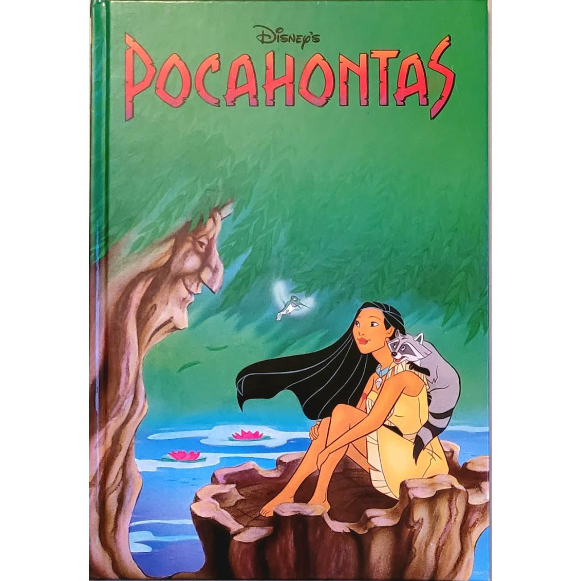 Disney's: Pocahontas, brukte bøker