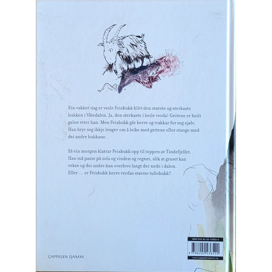 Sande, Hans: Forelska i Feisbukk