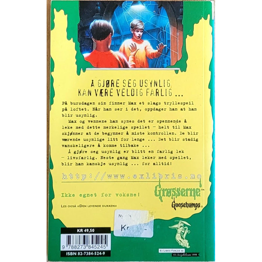 Grøsserne 6 - De usynlige, Brukte bøker av R.L. Stine – Inventaret