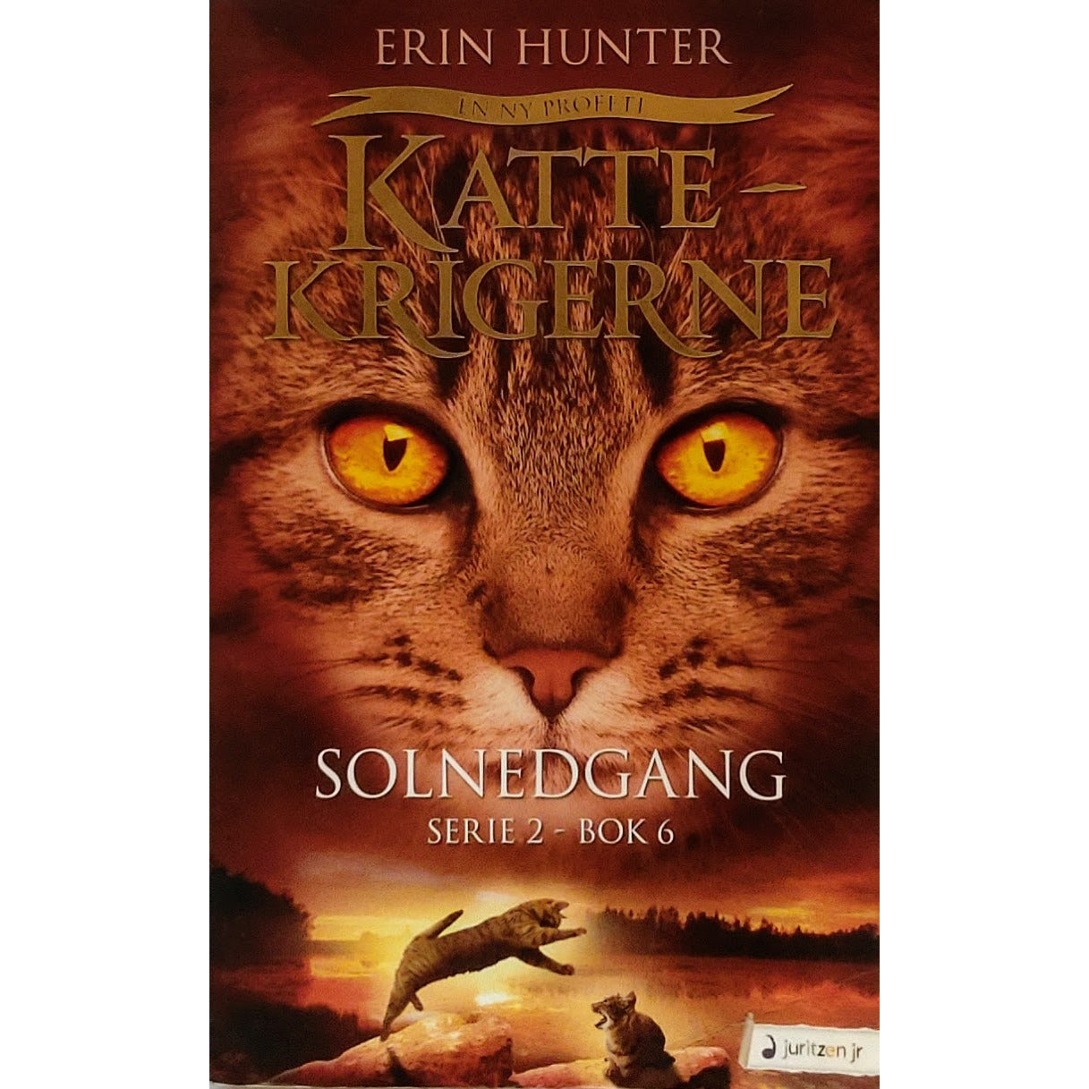 Hunter, Erin: Solnedgang - Kattekrigerne serie 2 - bok 6