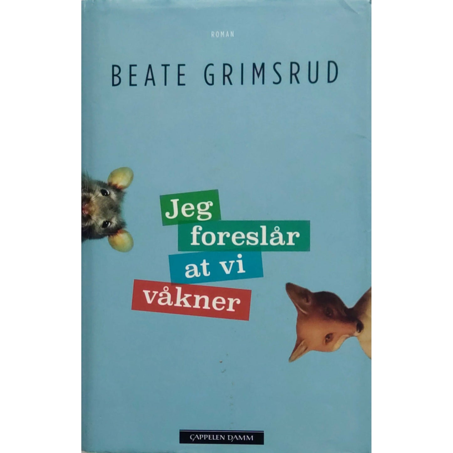 Grimsrud, Beate: Jeg foreslår at vi våkner