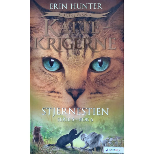 Brukte barnebøker av Erin Hunter: Stjernestein - Kattekrigerne serie 5 - bok 6